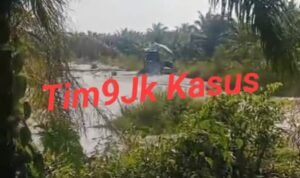 IMG-20251006-WA0110(1)